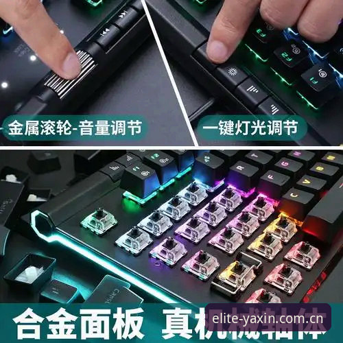 iOS版与安卓版对比：亚新体育平台的移动端体验差异解析